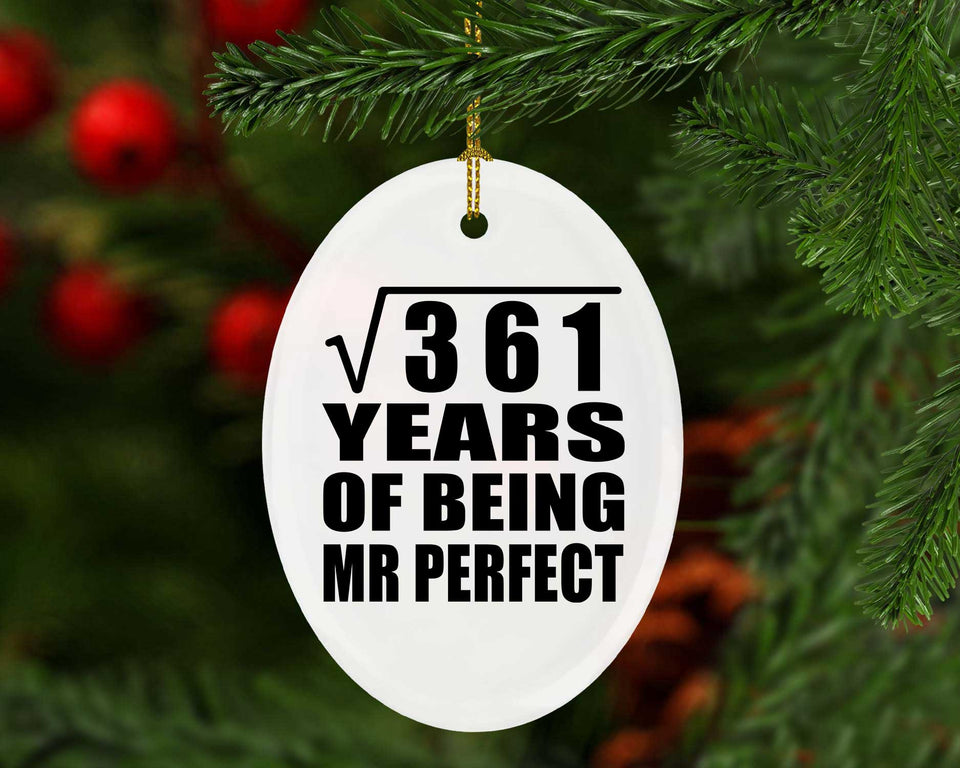 19th Anniversary Square Root of 361 Years of Mr Perfect - Oval Ornament