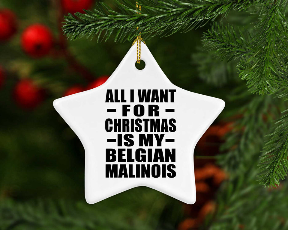 All I Want For Christmas Is My Belgian Malinois - Star Ornament