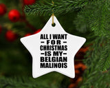 All I Want For Christmas Is My Belgian Malinois - Star Ornament
