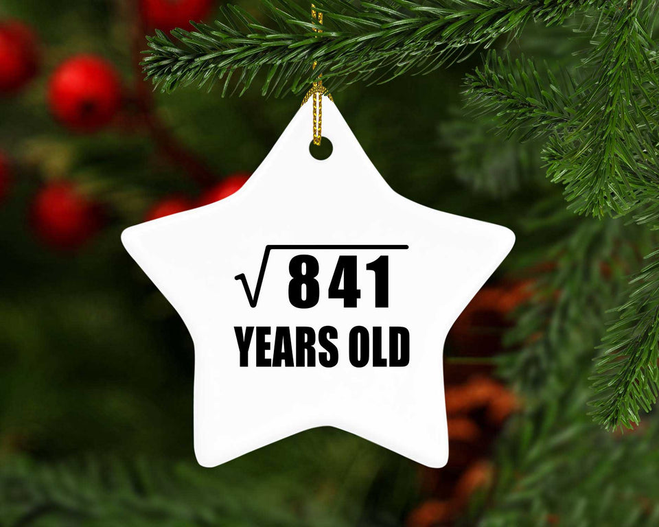 29th Birthday Square Root of 841 Years Old - Star Ornament