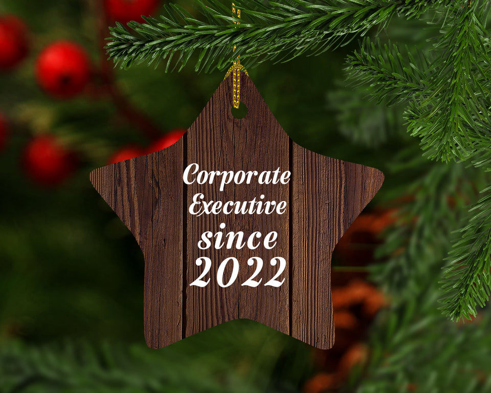 Corporate Executive Since 2022 - Star Ornament D