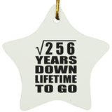 16th Anniversary Square Root of 256 Years Lifetime To Go - Star Ornament