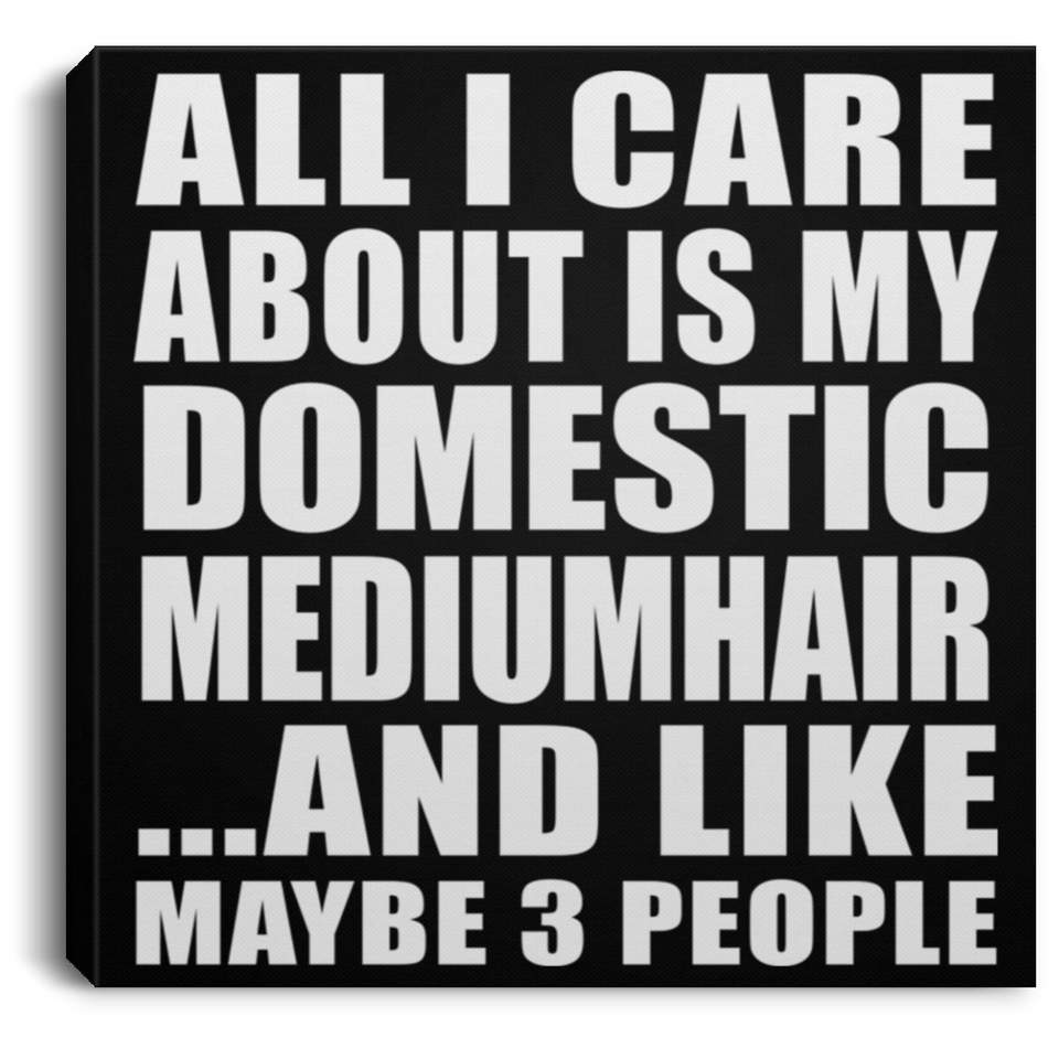 All I Care About Is My Domestic Mediumhair - Canvas Square