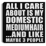 All I Care About Is My Domestic Mediumhair - Canvas Square