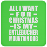 All I Want For Christmas Is My Entlebucher Mountain Dog - Coaster