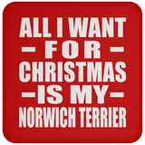 All I Want For Christmas Is My Norwich Terrier - Coaster