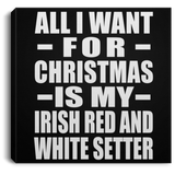 All I Want For Christmas Is My Irish Red And White Setter - Canvas Square