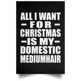 All I Want For Christmas Is My Domestic Mediumhair - Poster Portrait