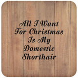 All I Want For Christmas Is My Domestic Shorthair - Drink Coaster C