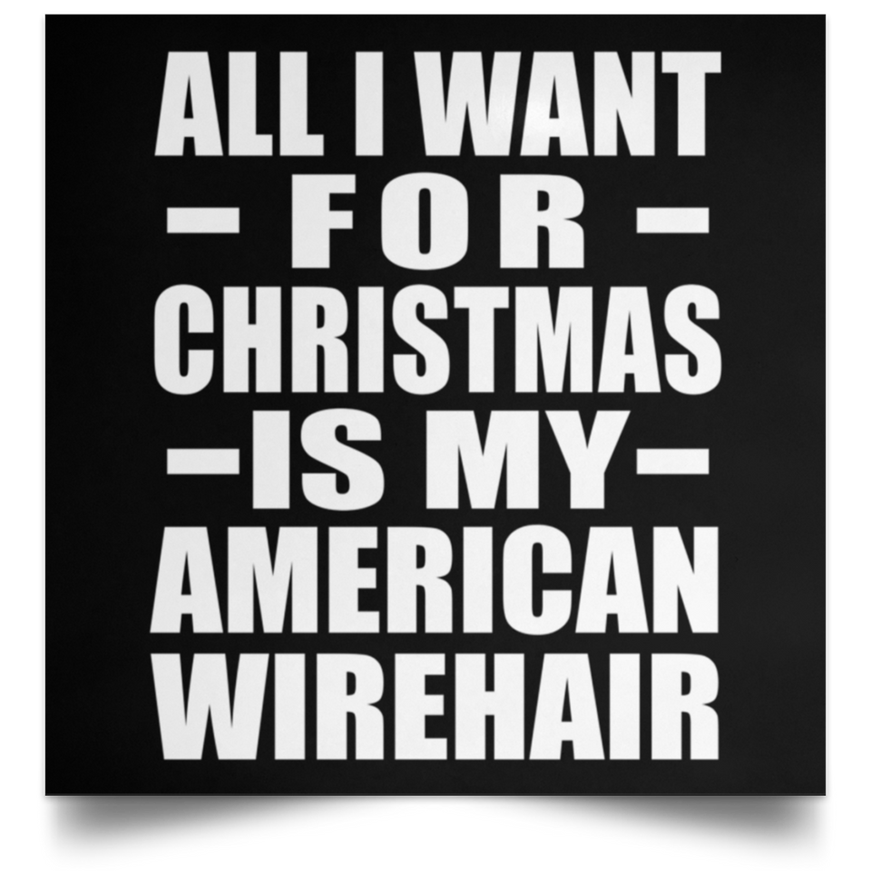 All I Want For Christmas Is My American Wirehair - Poster Square
