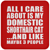 All I Care About Is My Domestic Shorthair Cat - Drink Coaster