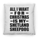All I Want For Christmas Is My Shetland Sheepdog - Throw Pillow