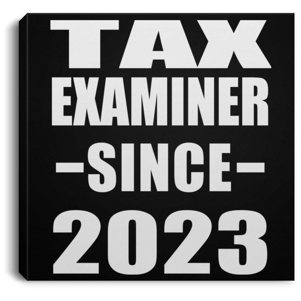 Tax Examiner Since 2023 - Canvas Square