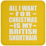 All I Want For Christmas Is My British Shorthair - Coaster