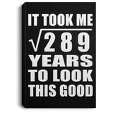17th Birthday Took Square Root of 289 Years To Look Good - Canvas Portrait