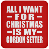 All I Want For Christmas Is My Gordon Setter - Coaster