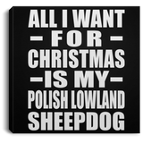 All I Want For Christmas Is My Polish Lowland Sheepdog - Canvas Square
