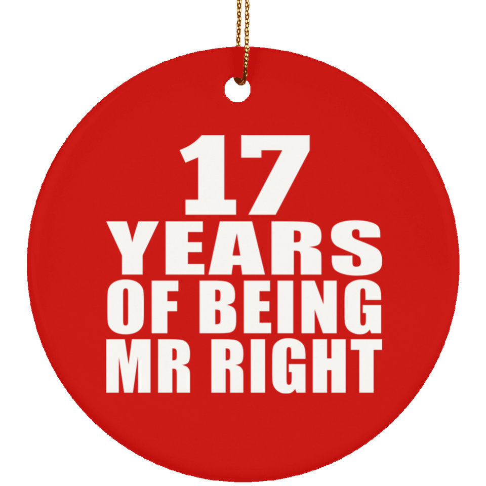 17th Anniversary 17 Years Of Being Mr Right - Circle Ornament