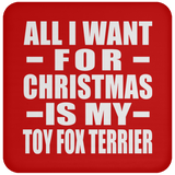 All I Want For Christmas Is My Toy Fox Terrier - Coaster