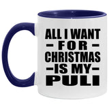 All I Want For Christmas Is My Puli - 11oz Accent Mug Purple