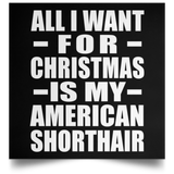 All I Want For Christmas Is My American Shorthair - Poster Square