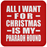 All I Want For Christmas Is My Pharaoh Hound - Coaster