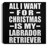 All I Want For Christmas Is My Labrador Retriever - Canvas Square