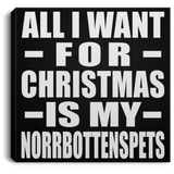 All I Want For Christmas Is My Norrbottenspets - Canvas Square