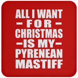 All I Want For Christmas Is My Pyrenean Mastiff - Coaster