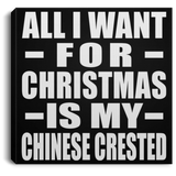 All I Want For Christmas Is My Chinese Crested - Canvas Square