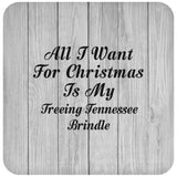 All I Want For Christmas Is My Treeing Tennessee Brindle - Drink Coaster F