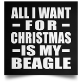 All I Want For Christmas Is My Beagle - Poster Square