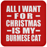 All I Want For Christmas Is My Burmese Cat - Coaster