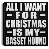All I Want For Christmas Is My Basset Hound - Canvas Square