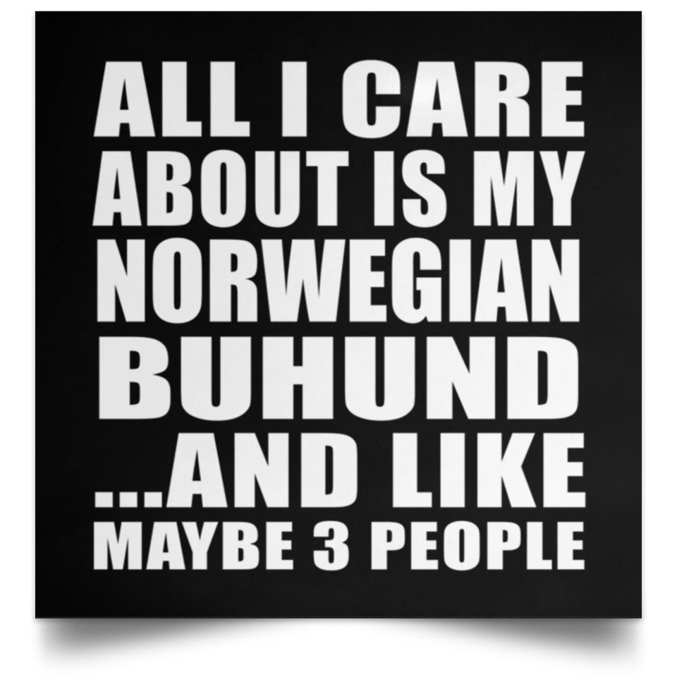 All I Care About Is My Norwegian Buhund - Poster Square
