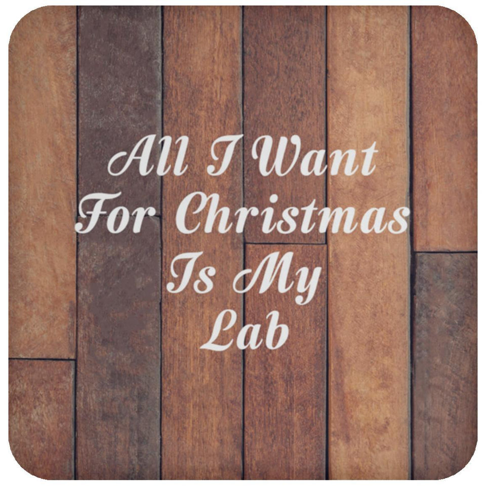 All I Want For Christmas Is My Lab - Drink Coaster E