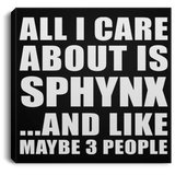 All I Care About Is Sphynx - Canvas Square