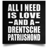 All I Need Is Love And A Drentsche Patrijshond - Poster Square