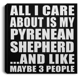 All I Care About Is My Pyrenean Shepherd - Canvas Square