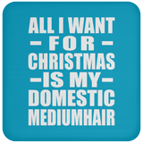 All I Want For Christmas Is My Domestic Mediumhair - Coaster