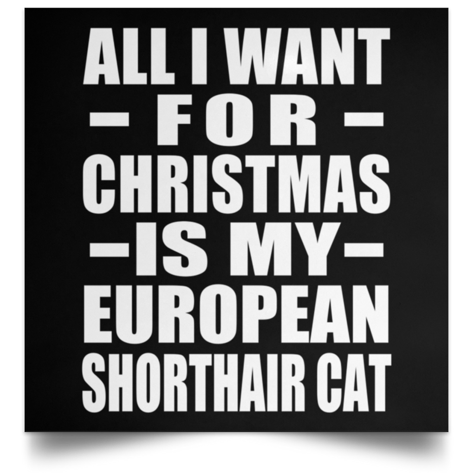 All I Want For Christmas Is My European Shorthair Cat - Poster Square
