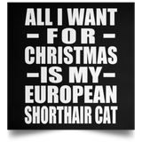 All I Want For Christmas Is My European Shorthair Cat - Poster Square