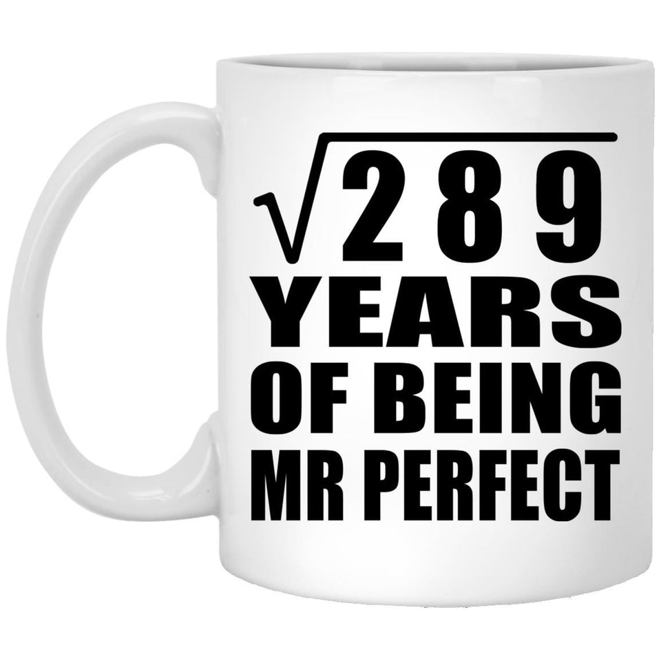 17th Anniversary Square Root of 289 Years of Mr Perfect - 11oz Coffee Mug