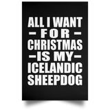 All I Want For Christmas Is My Icelandic Sheepdog - Poster Portrait