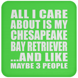 All I Care About Is My Chesapeake Bay Retriever - Drink Coaster