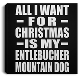 All I Want For Christmas Is My Entlebucher Mountain Dog - Canvas Square