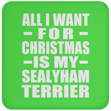 All I Want For Christmas Is My Sealyham Terrier - Coaster