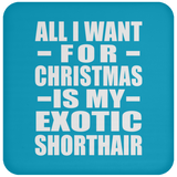 All I Want For Christmas Is My Exotic Shorthair - Coaster