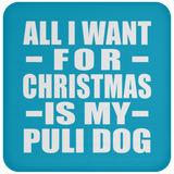 All I Want For Christmas Is My Puli Dog - Coaster