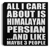All I Care About Is Himalayan Persian - Canvas Square